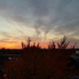 Meet your Posher, Teri